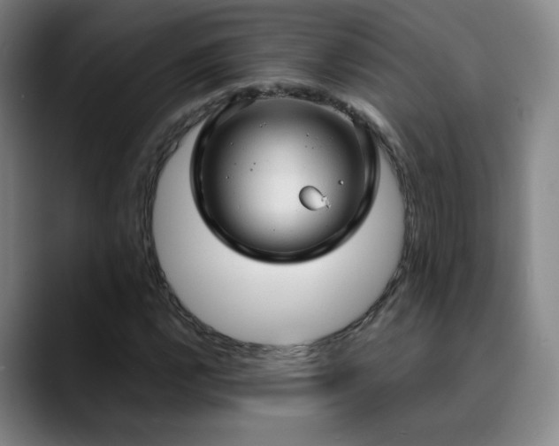 X0000090621112200707171430