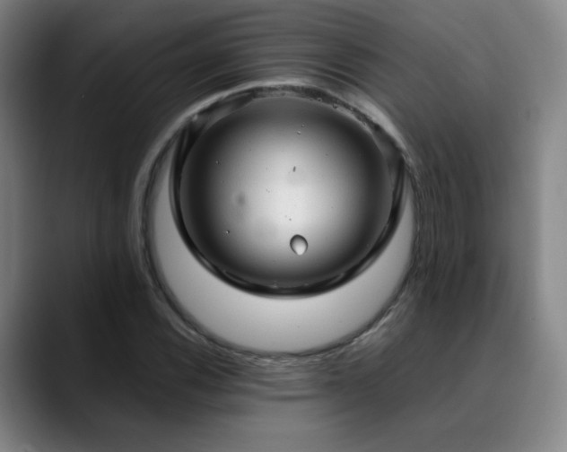 X0000090621116200707171430