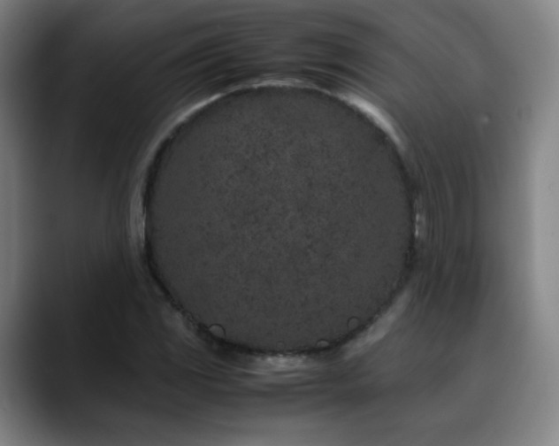 X0000090621117200707171430