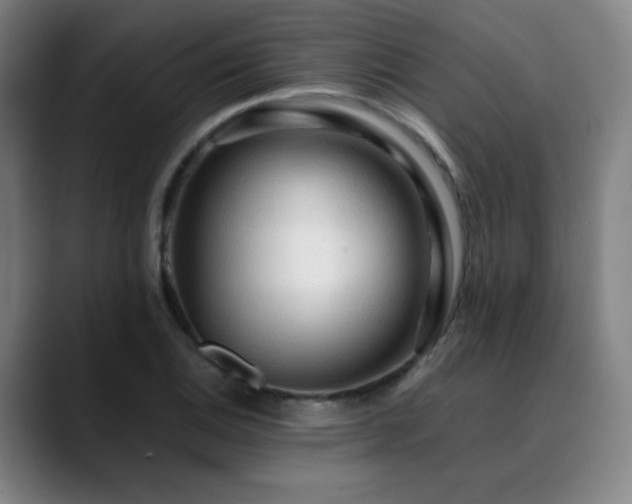 X0000090621124200707171430