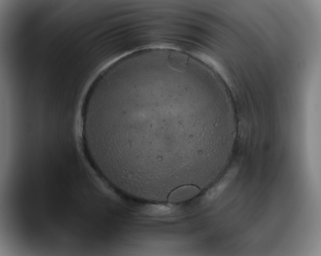 X0000090621125200707171430
