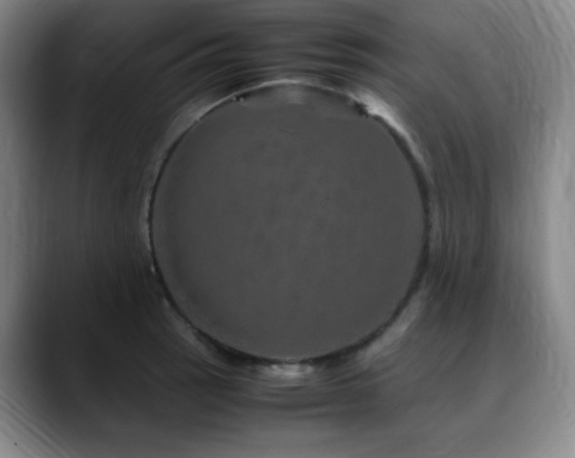 X0000090621137200707171430
