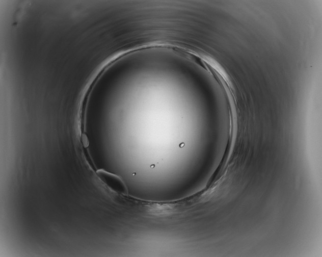 X0000090621148200707171430