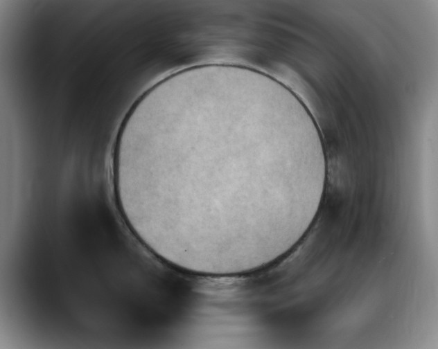 X0000090621150200707171430