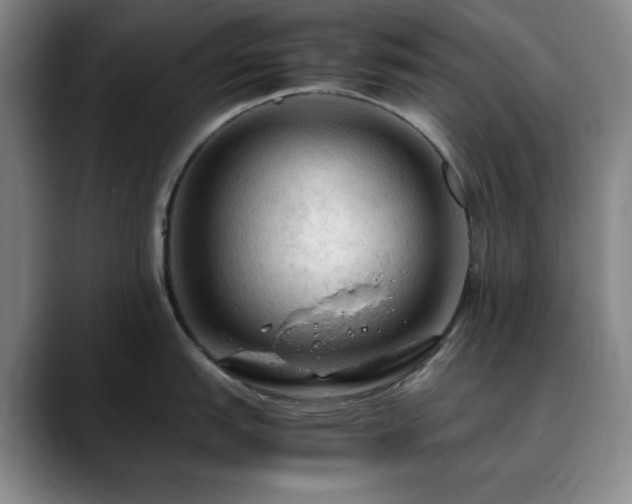 X0000090621151200707171430