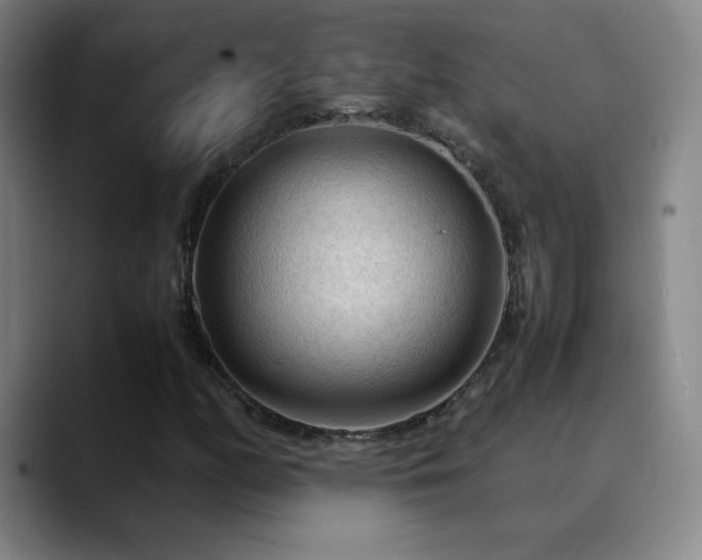 X0000090621158200707171430