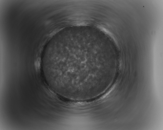 X0000090621161200707171430