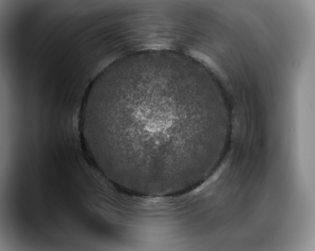 X0000090621162200707171430