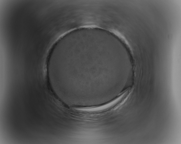 X0000090621167200707171430