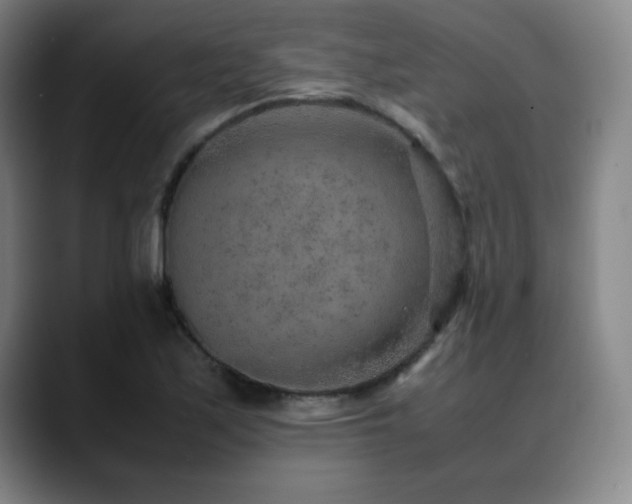 X0000090621171200707171430