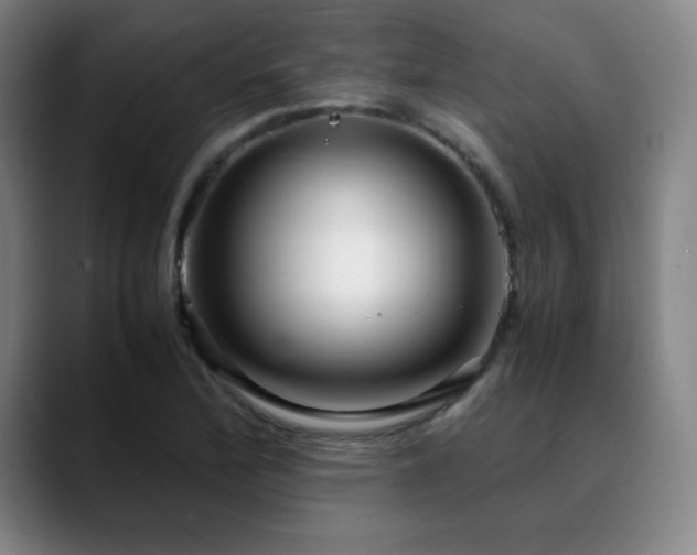 X0000090621172200707171430