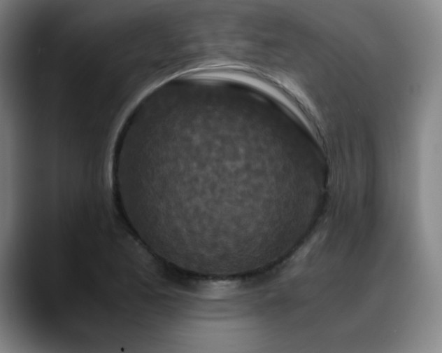 X0000090621173200707171430