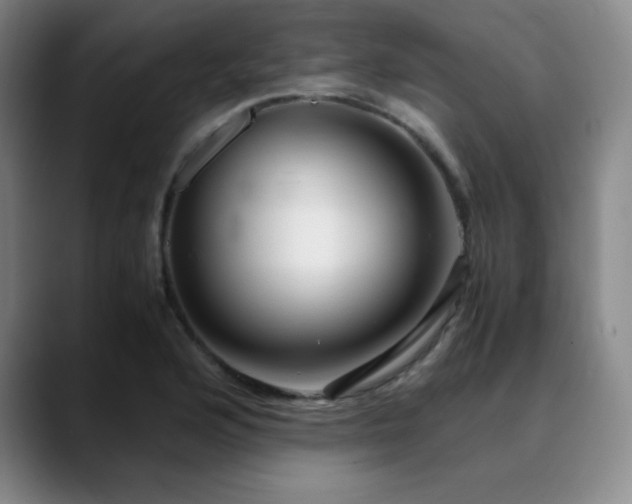 X0000090621176200707171429