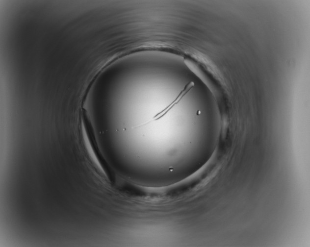 X0000090621177200707171429