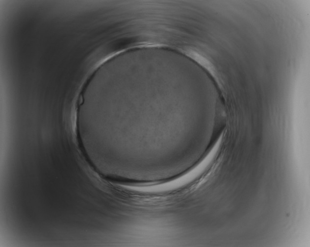 X0000090621179200707171429