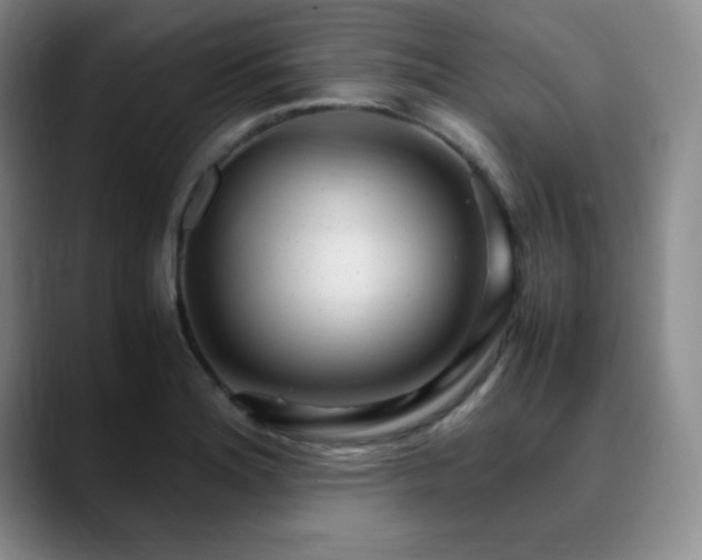 X0000090621180200707171429