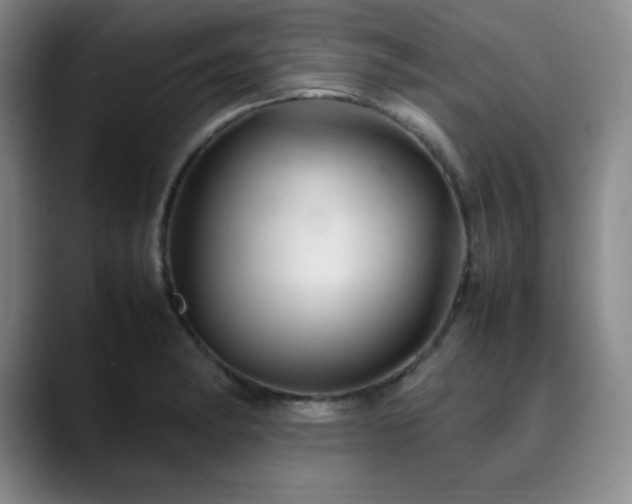 X0000090621182200707171429