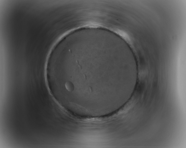 X0000090621183200707171429