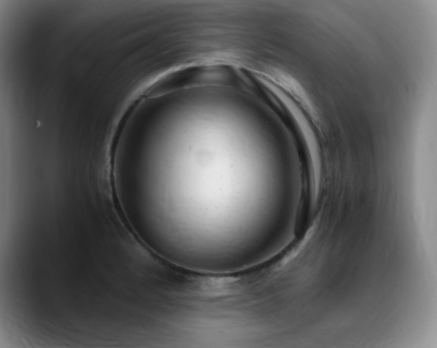 X0000090621184200707171429
