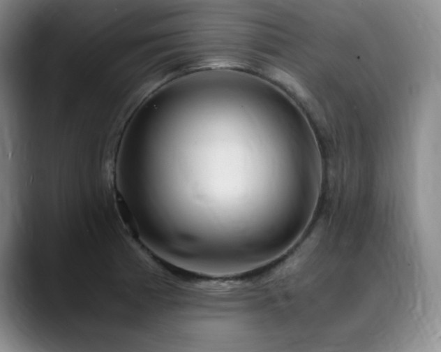 X0000090621185200707171429