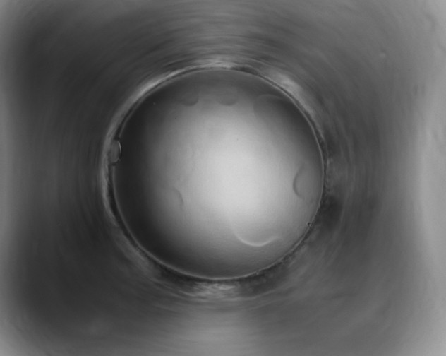 X0000090621187200707171429