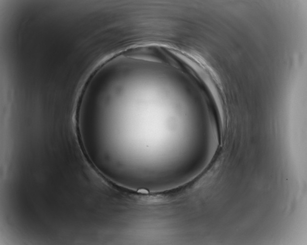 X0000090621189200707171429