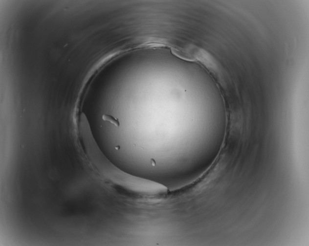 X0000090621190200707171429