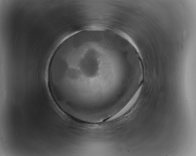 X0000090621195200707171429