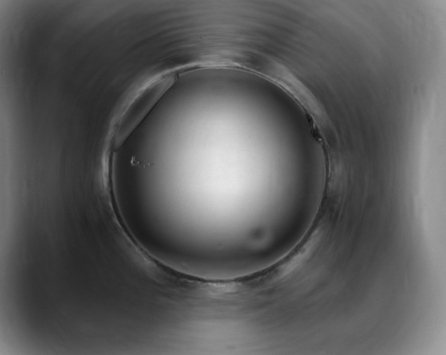 X0000090621196200707171429