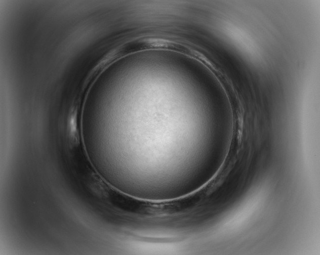 X0000090621198200707171429