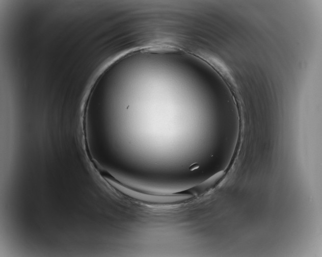 X0000090621200200707171429