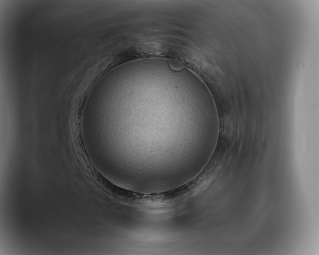 X0000090621201200707171429