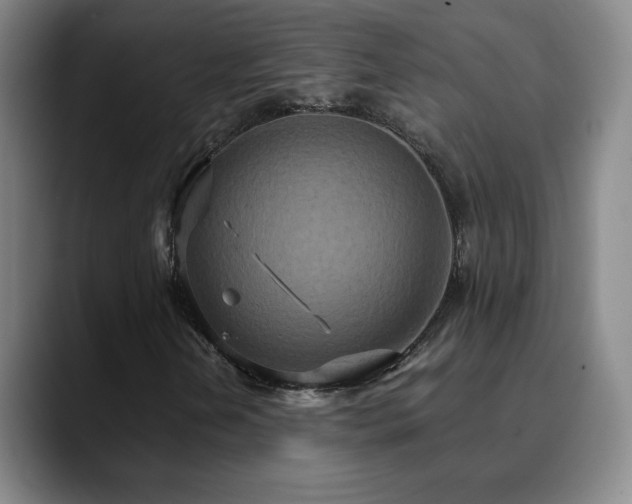 X0000090621202200707171429