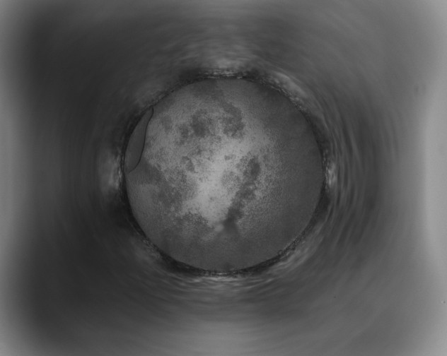 X0000090621204200707171429