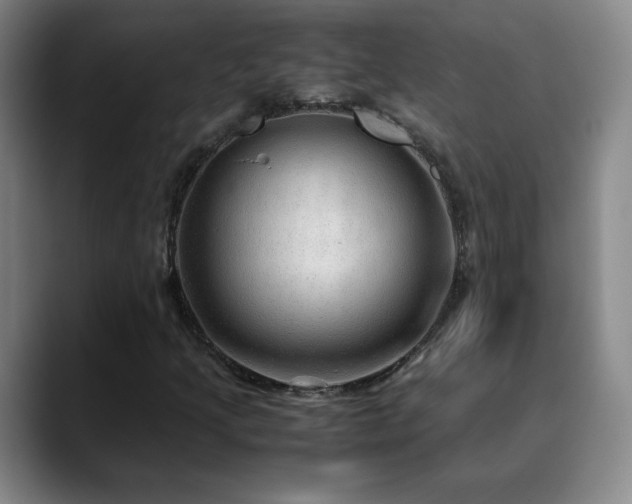 X0000090621205200707171429
