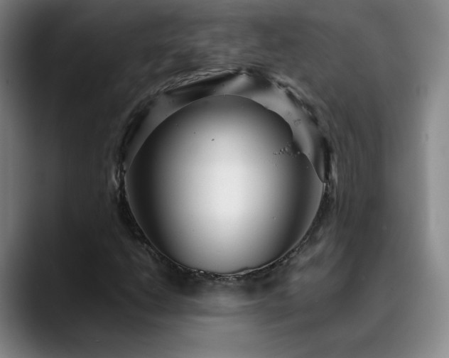 X0000090621206200707171429