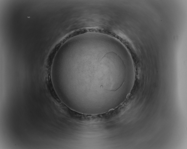 X0000090621208200707171429