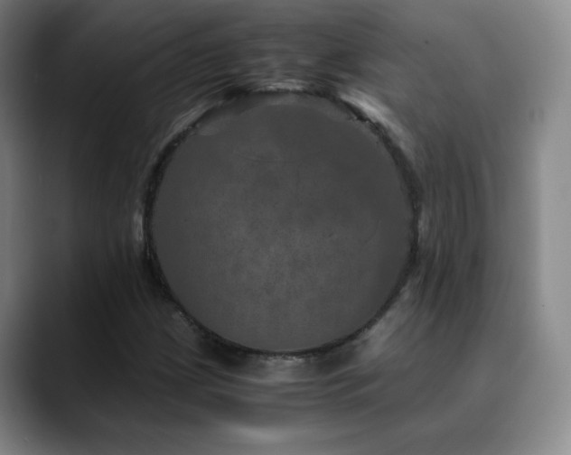 X0000090621209200707171429