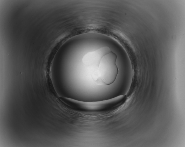 X0000090621210200707171429