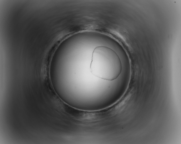 X0000090621211200707171429