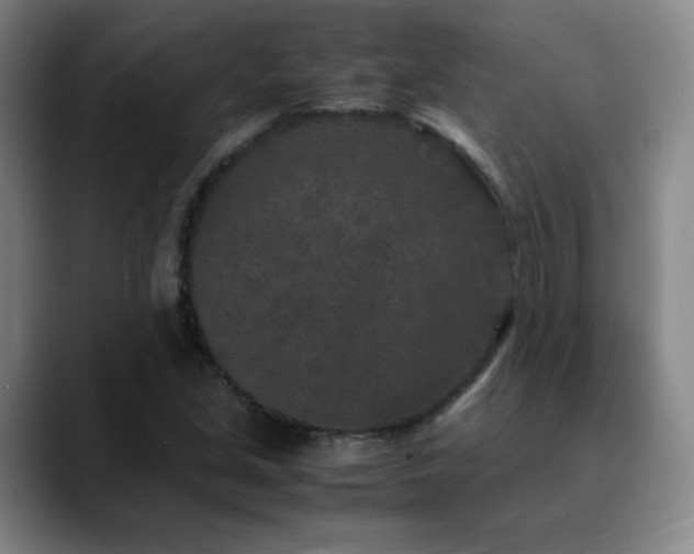 X0000090621213200707171429