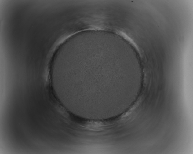 X0000090621215200707171429