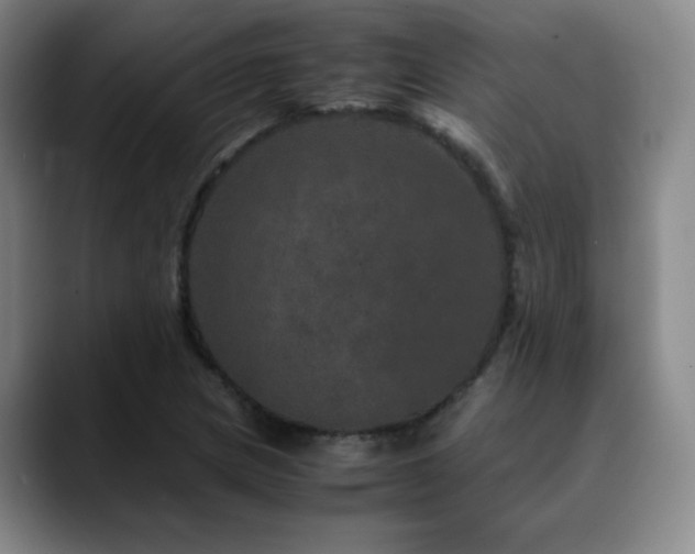 X0000090621217200707171429