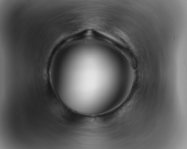 X0000090621218200707171429