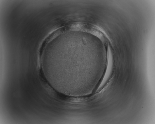 X0000090621219200707171429
