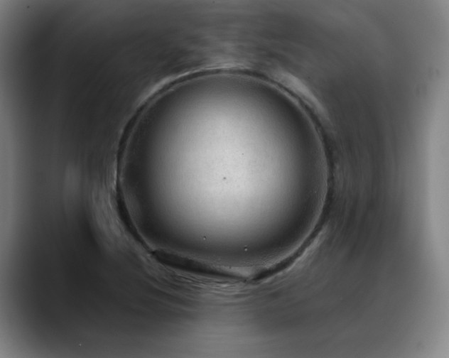 X0000090621220200707171429