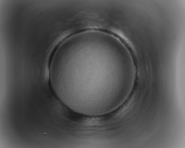 X0000090621221200707171429