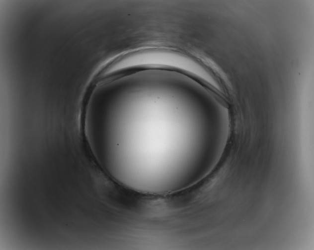 X0000090621222200707171429