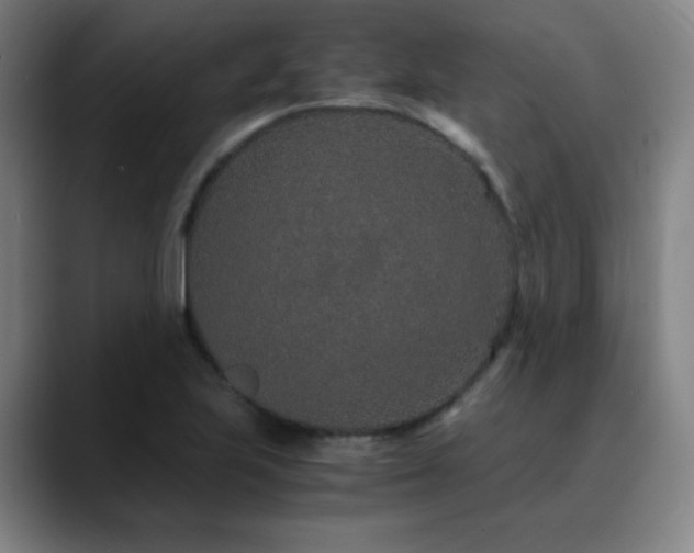 X0000090621223200707171429