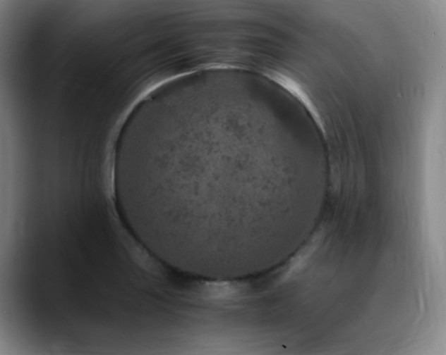 X0000090621227200707171429